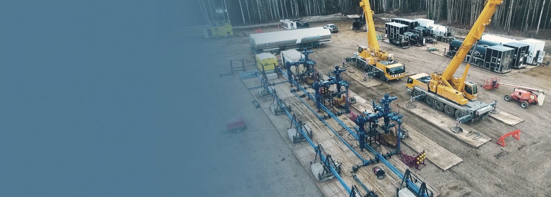 qualità Guarnizione a anello ottagonale fabbrica